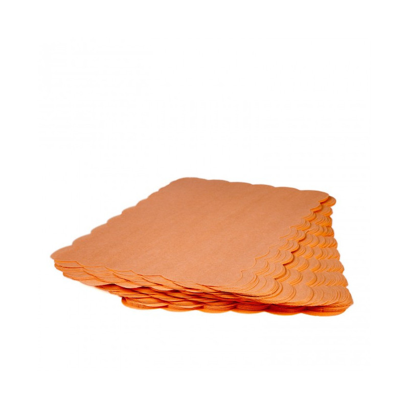 Paper Blondes Salvacarn Prèssec 20x30 500 un.